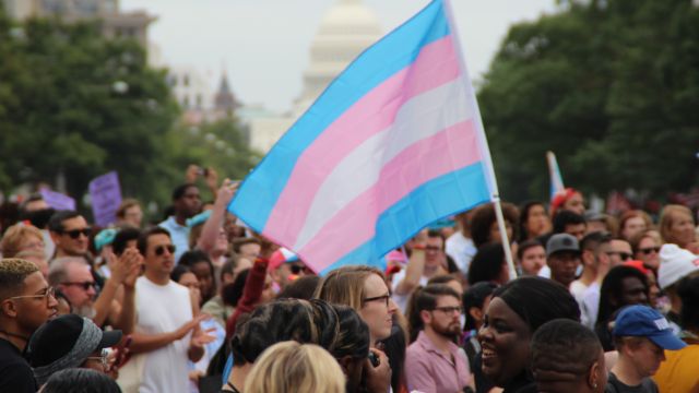 DC is going to hold the first national TDOV gala on Easter Sunday