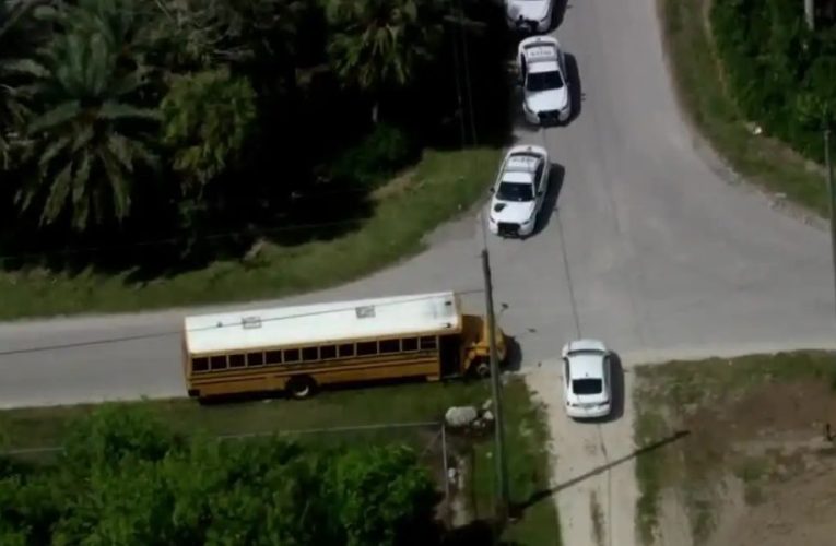 7-Year-Old Found Carrying Toy Gun on Bus in SW Miami-Dade, Authorities Report