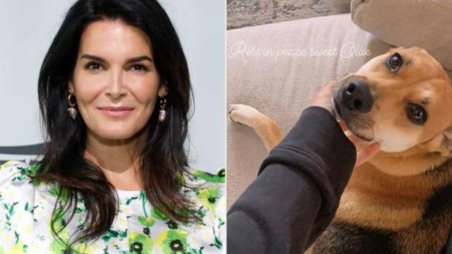 Angie Harmon Accuses Instacart Driver of Fatally Shooting Her Beloved Dog (1)