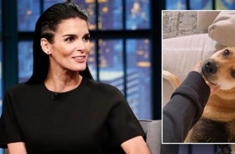 Angie Harmon Accuses Instacart Driver of Fatally Shooting Her Beloved Dog