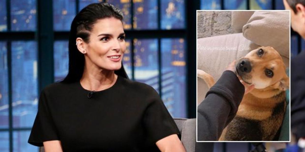 Angie Harmon Accuses Instacart Driver of Fatally Shooting Her Beloved Dog