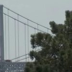 Bay Bridge Safety Under Scrutiny After Baltimore Incident Prompts Action, What Is Now!