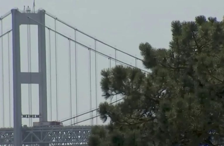 Bay Bridge Safety Under Scrutiny After Baltimore Incident Prompts Action, What Is Now!