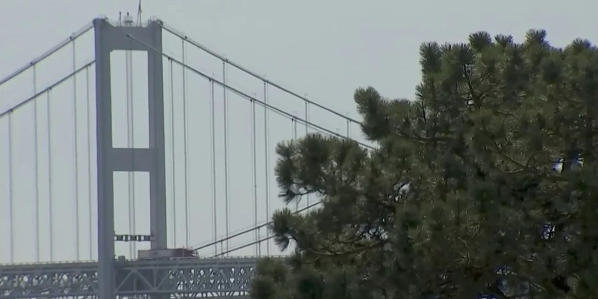 Bay Bridge Safety Under Scrutiny After Baltimore Incident Prompts Action, What Is Now!