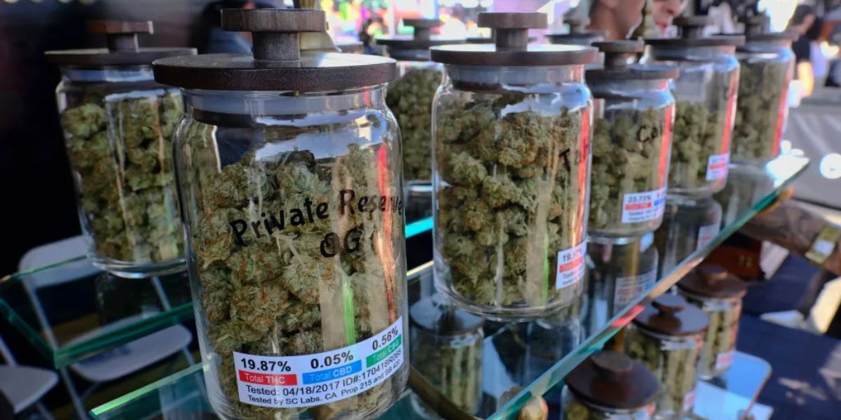 High Stakes Legalizing Marijuana Could Net Pennsylvania $1 Billion in Taxes