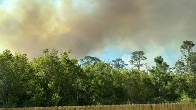 Latest Update Gulf Beach Highway Brush Fire Containment Reaches 30% (1)