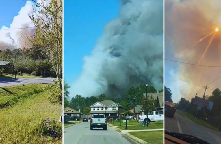 Latest Update: Gulf Beach Highway Brush Fire Containment Reaches 30%