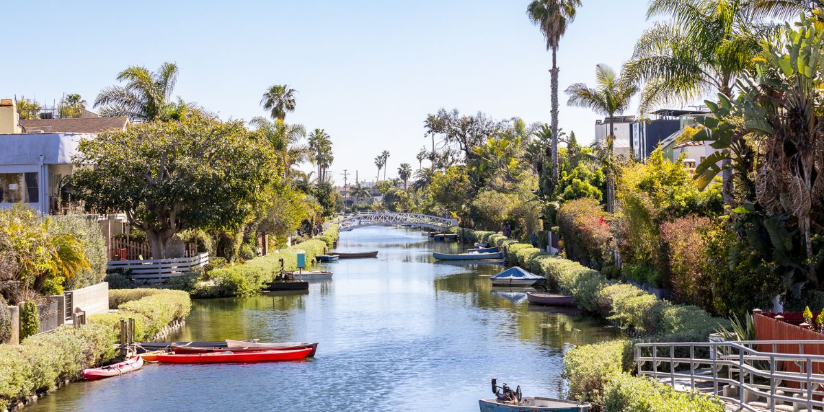 Media Frenzy Venice Canals Searched by News Crews Following Saturday's Violent Attacks