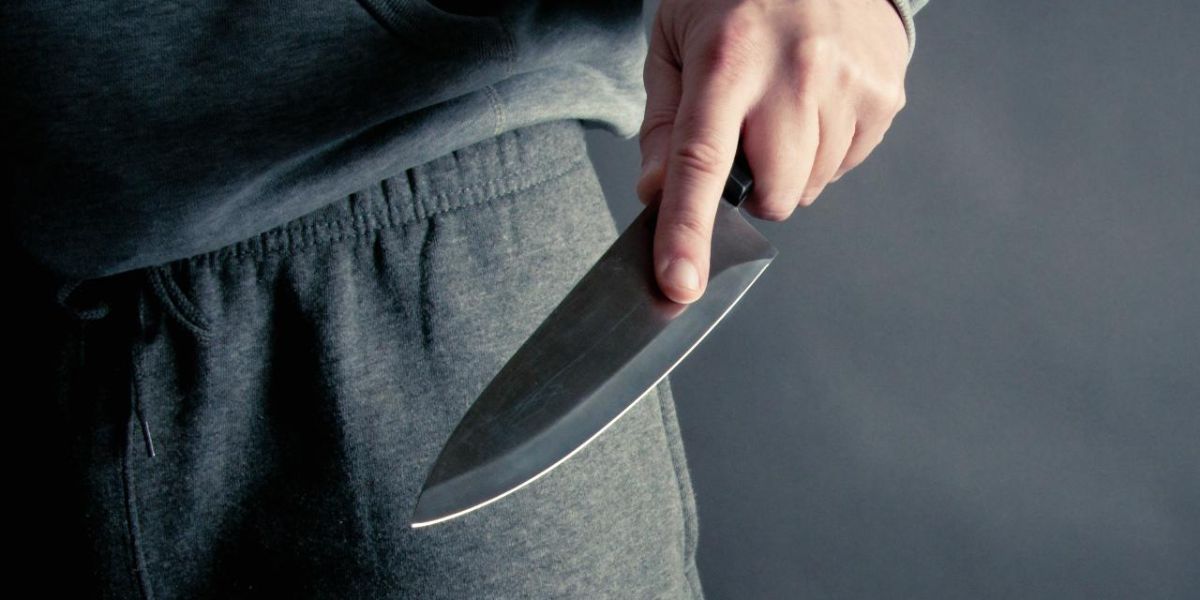 Navigating Michigan’s Knife Laws A Guide for Residents and Visitors (1)