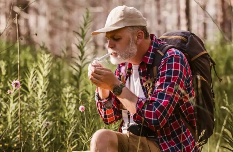 Older Adults’ Cannabis Use on the Upswing, UI Study Confirms