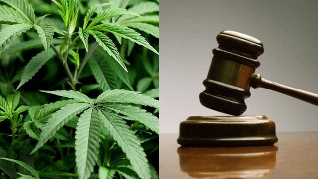 Oregon Properties Worth $5.7 Million Seized in Marijuana Trafficking Case