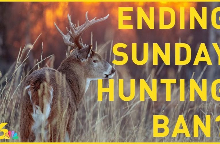 Pennsylvania Lawmakers and Game Commission Collaborate to End Sunday Hunting Ban