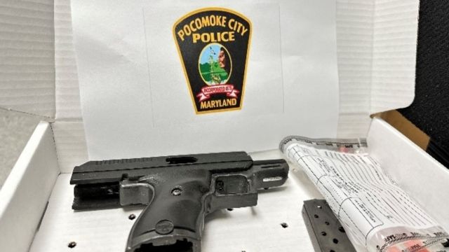 Pocomoke Police Arrest Man for Assault and Unlawful Possession of Firearm (1)