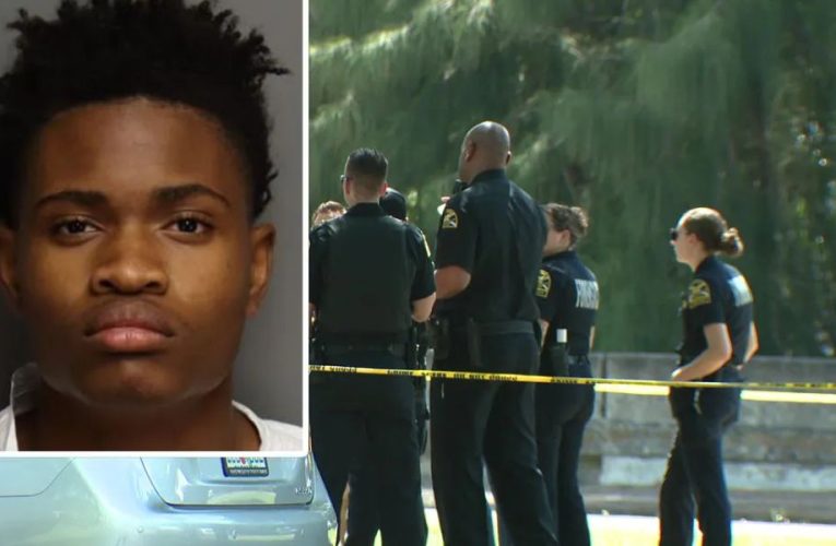 Police Confirm Third Arrest in Deadly St. Pete Shootout Involving Teens