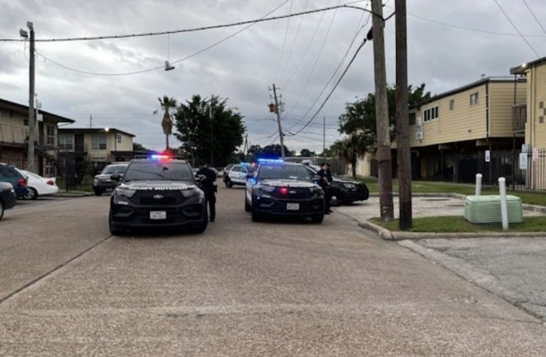 Police Ramp Up Patrols in Third Ward Following Recorded Shooting Incident