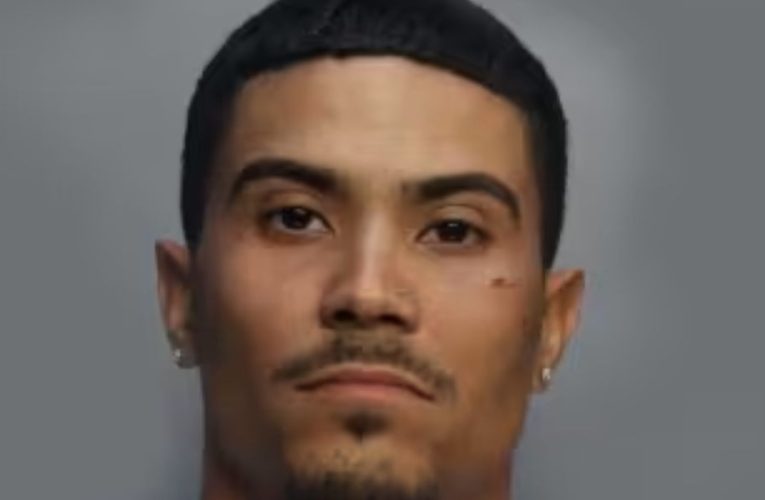 Puerto Rican Man Admits Using Rifle in Fatal Miami-Dade Crash