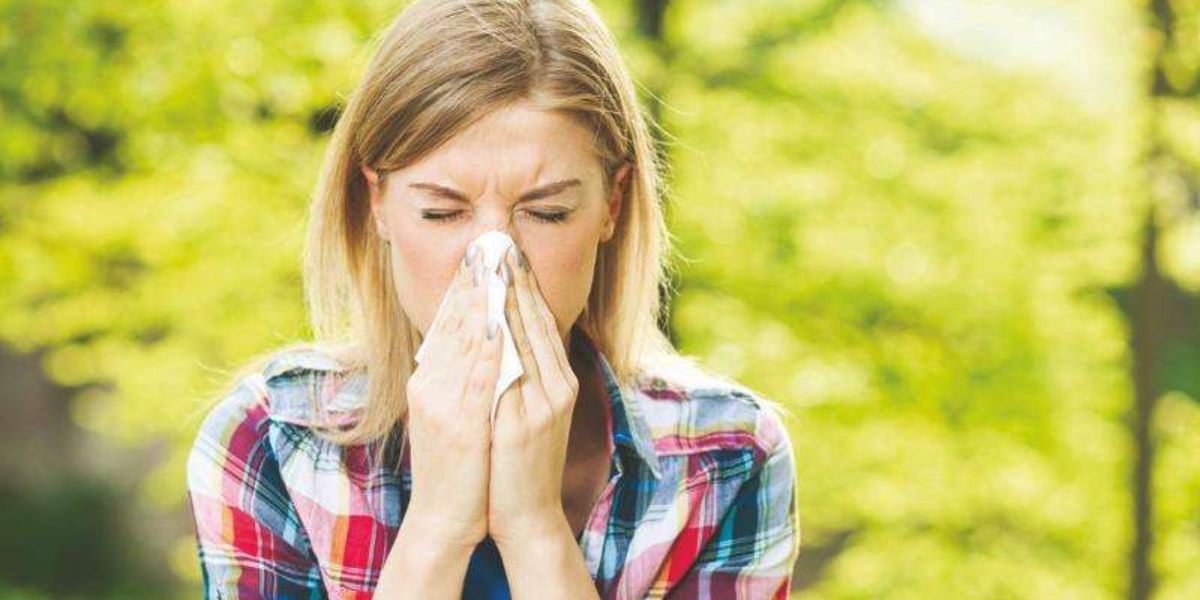 Sneezing Non-stop Iowa's Alarming Allergy Triggers Explained
