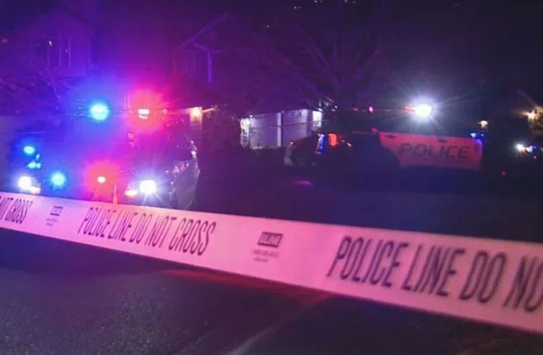 Tragic Outcome! Man Killed in Domestic Violence-Related Shooting