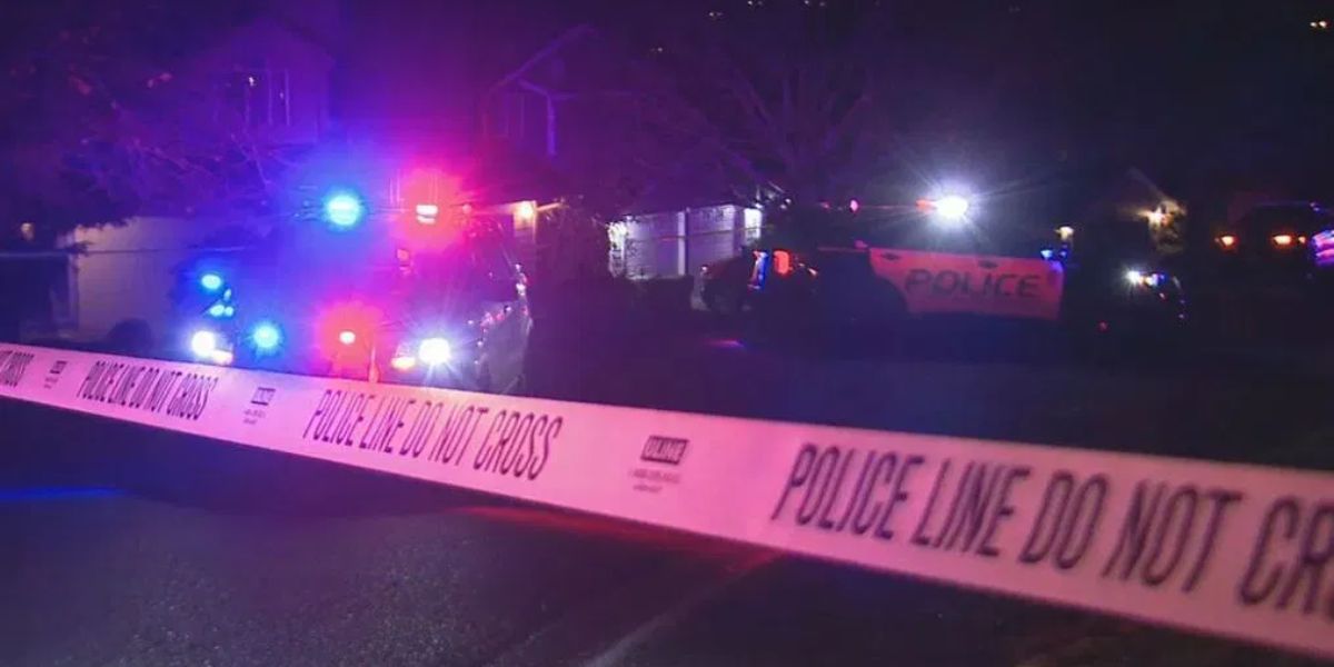 Tragic Outcome! Man Killed in Domestic Violence-Related Shooting