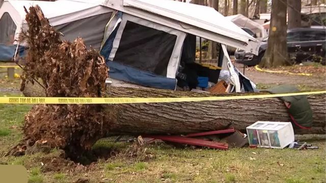 Unpredictable Incident! Woman Dies as Tree Falls on Camper in Pennsylvania Campground (1)