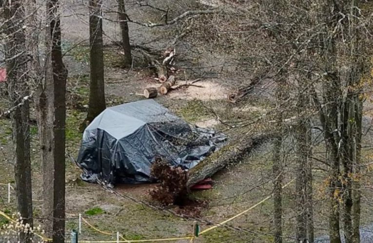 Unpredictable Incident! Woman Dies as Tree Falls on Camper in Pennsylvania Campground