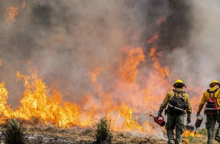 Wildfire Warriors: Oregon’s $6 Million Strategy to Combat Fire Threats