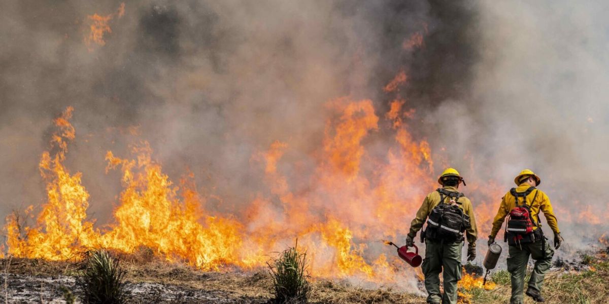 Wildfire Warriors Oregon’s $6 Million Strategy to Combat Fire Threats