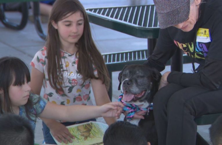 Young Readers Team Up with Rescue Dogs to Foster Literacy and Adoption Awareness