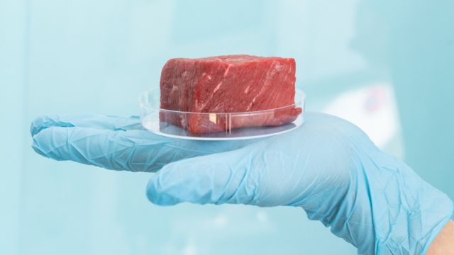 Alabama Implements Ban On Cultured Meat Sales, Following Florida's Example (1)
