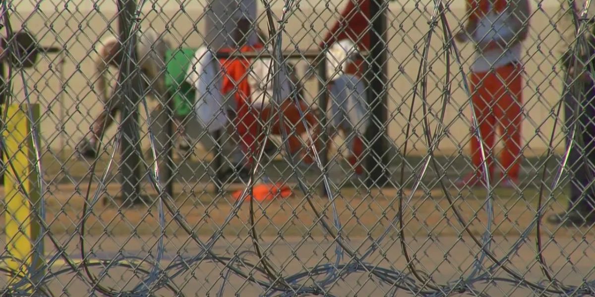 Alarming Increase in SUICIDES Recorded in Arkansas Prisons for 2024 Report