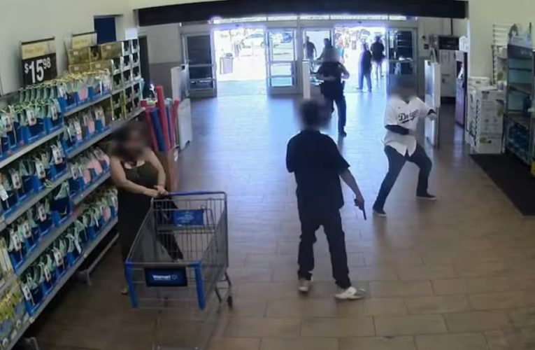 Alert Issued! Two Shoplifters on a Stealing Spree at Walmart Stores