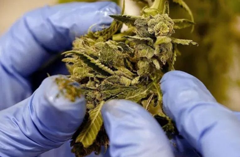 Arkansas’ Booming Medical ‘Marijuana’ Market: Five Years and Over $1 Billion in Sales