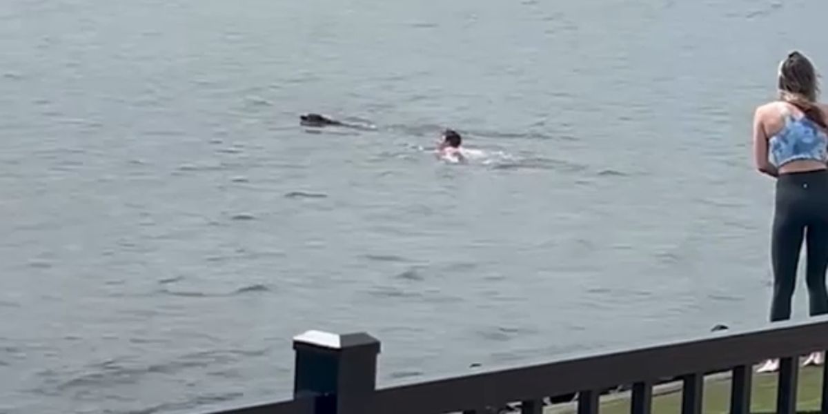 Brave Rescue - Video Footage Shows New Jersey Man Risking Life To Save Dog In Hudson River