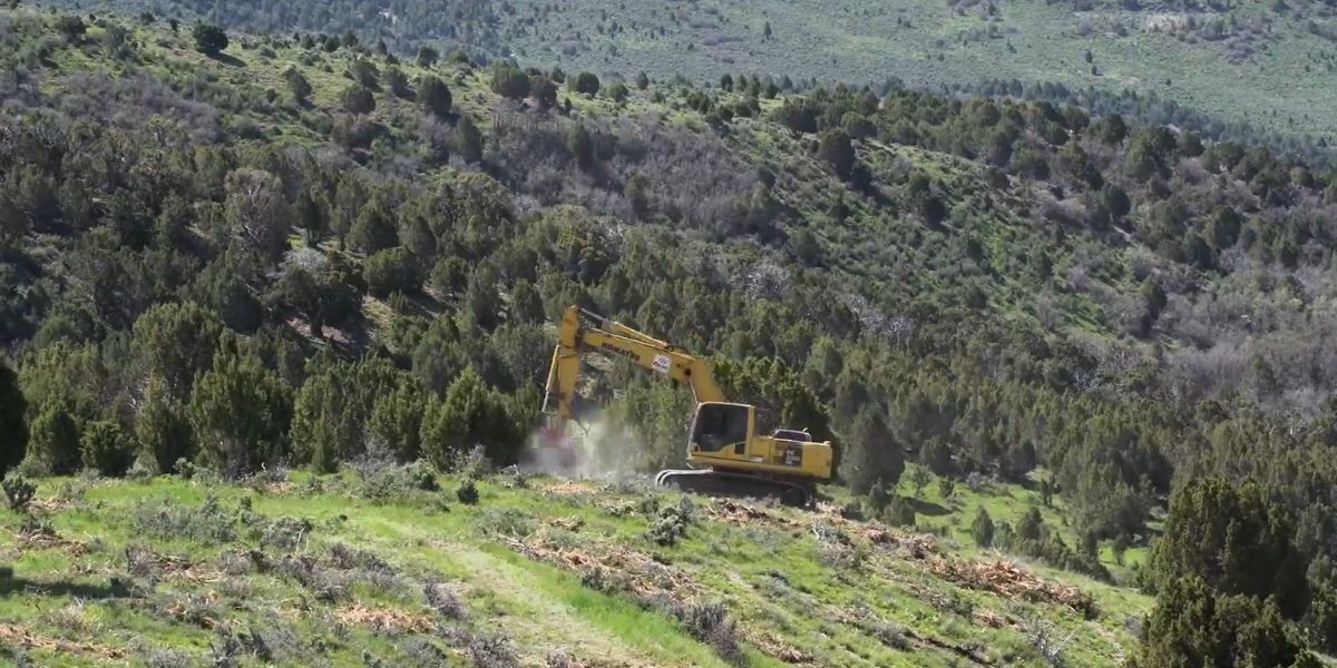 'Breaking Records!' Utah Habitat Restoration Raises $4.8M From Permit Funds