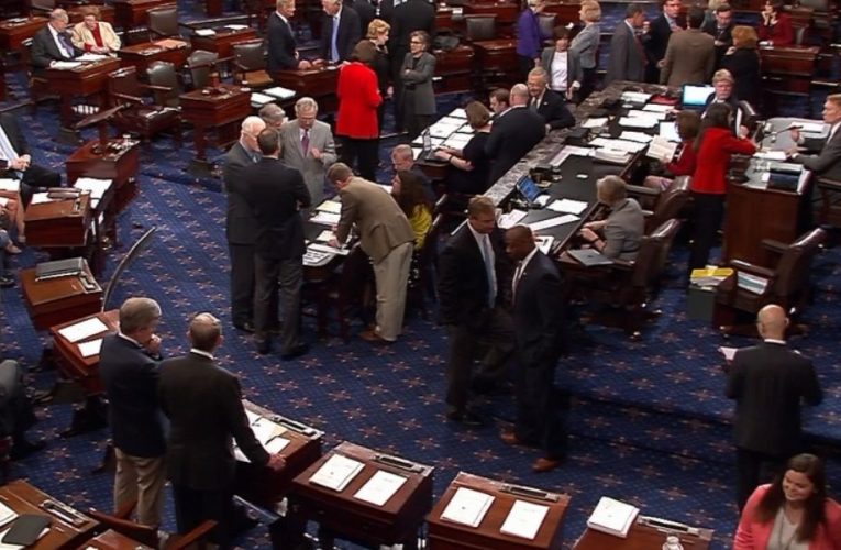 Firearm Tax Fiasco: Democratic Senator Faces Backlash Over Delayed Vote
