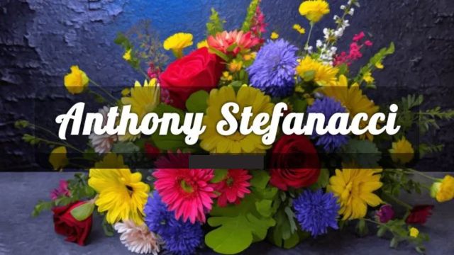 Gone Too Soon! Saratoga Firefighter Anthony Stefanacci, AGE 17, Leaves A Legacy Of Courage (1)