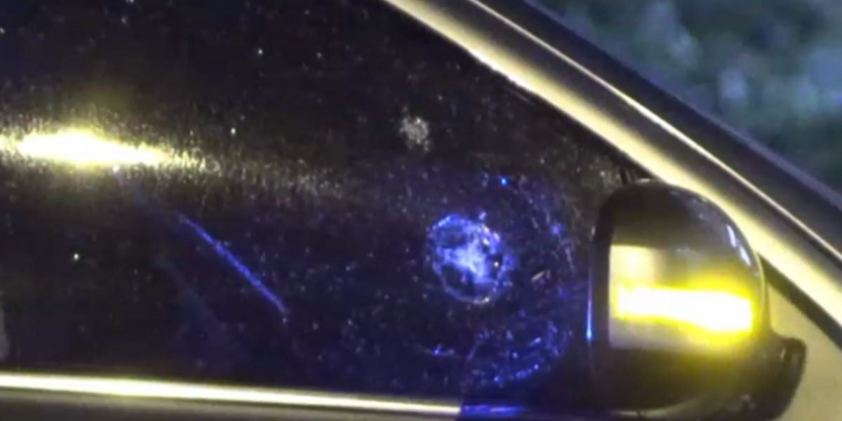 'Highway BIG Drama!' Miami Man Hospitalized In I-95 Road Rage Shooting, Is That Alive