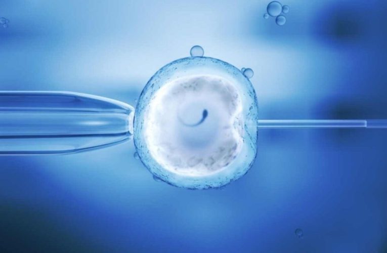 Louisiana IVF Protection Bill Fails: What’s Next for Reproductive Rights?