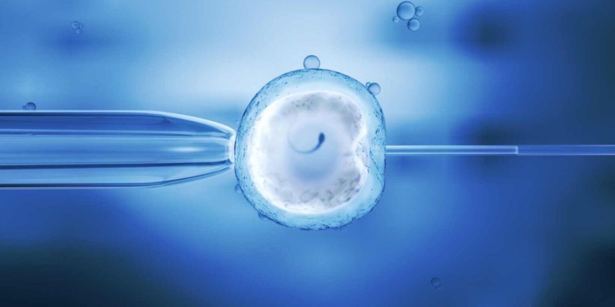 Louisiana IVF Protection Bill Fails What's Next for Reproductive Rights