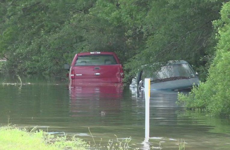 Natural Disaster Aftermath: TDEM’s ISTAT Survey to Assess East Texas Damage