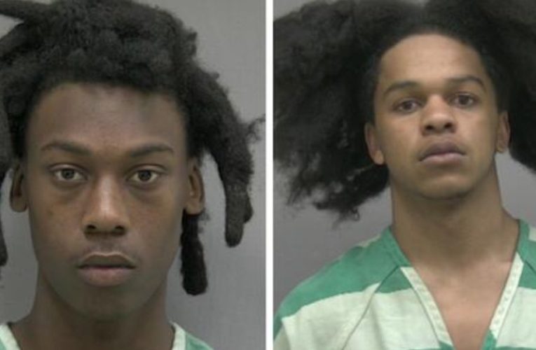 Paired Crime! 18-Year-Old and 19-Year-Old Face Charges In Verdant Cove Shooting Case