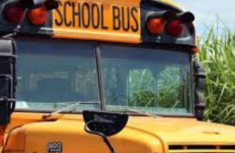 Ramapo Reports List Violations By Monsey Bus Drivers in Child-Striking Incidents