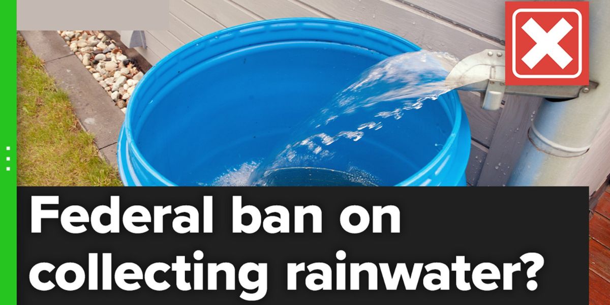 Understanding Michigan's Rainwater Laws Is It A Collection Legal