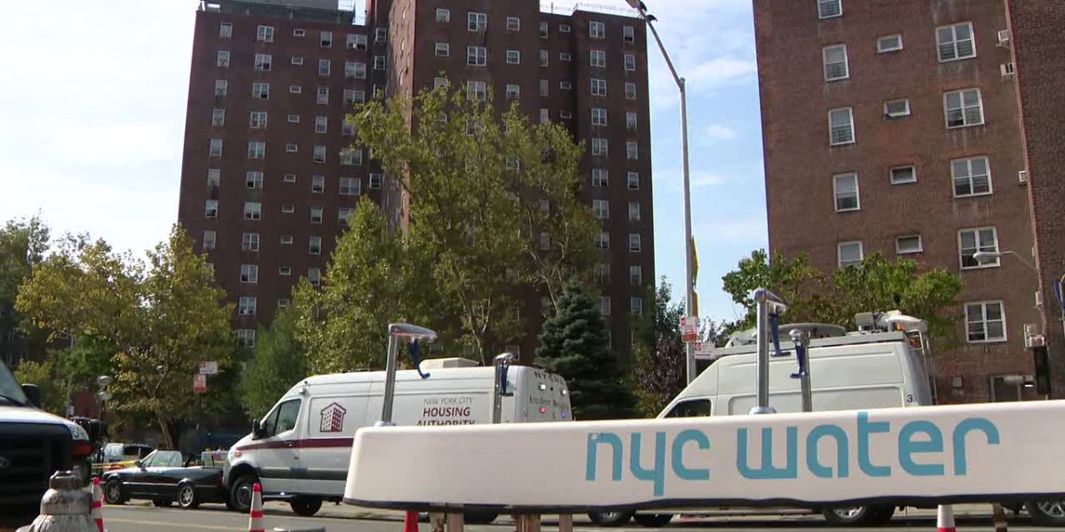 What Is The Present Scene Arsenic Panic Exposes Multiple Failures Within NYCHA, Probe Concludes