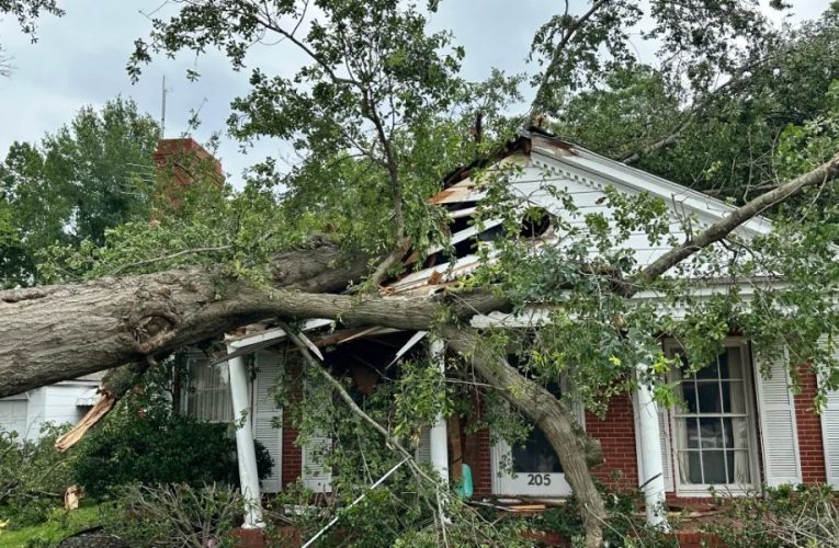 Windstorm Causes Major Damage in Coffee City and Bullard: Homes, Marina, and Trees Affected