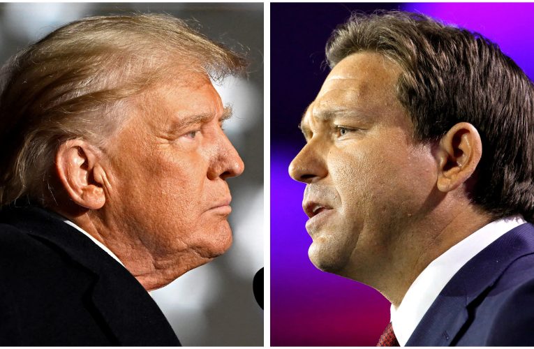 Republican Voters Favor DeSantis as Trump’s VP Pick, Poll Reveals