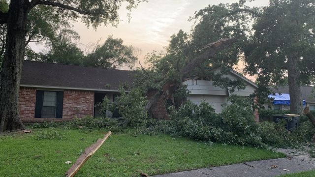 After Tree Crashes Through Roof, Gaithersburg Family Thanks Community for Unwavering Support, Grateful Everyone's (1)