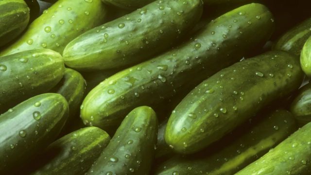 Health Alert Salmonella Risk Triggers Recall of Cucumbers In 14 States (1)