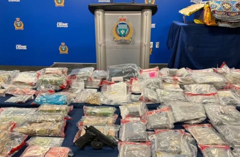 WOMAN ARRESTED in Connection With Tanglewood Drive COCAINE Bust, Meth Distribution Alleged