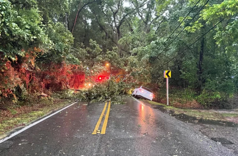 Florida’s Big Bend Counties Get Federal Aid After May 10 Tornado Havoc